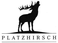 Platzhirsch