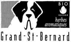 Grand-St-Bernard