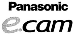 Panasonic e.cam