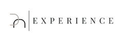 EXPERIENCE