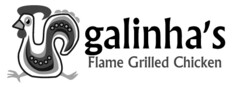 galinha's Flame Grilled Chicken