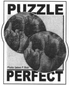 PUZZLE Photo: James P. Blair PERFECT