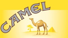 CAMEL