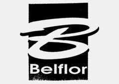 Belflor B