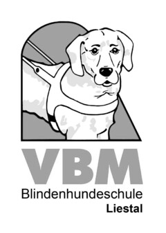 VBM Blindenhundeschule Liestal