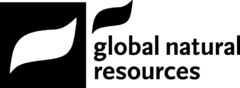 global natural resources