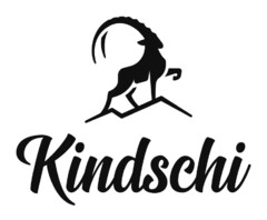 Kindschi