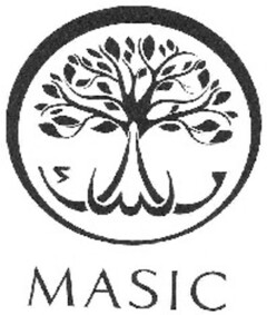 MASIC