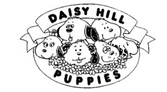 DAISY HILL PUPPIES