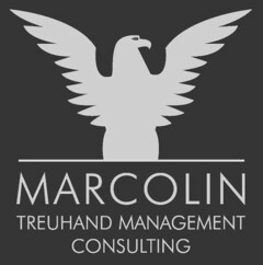 MARCOLIN TREUHAND MANAGEMENT CONSULTING