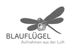 BLAUFLÜGEL Aufnahmen aus der Luft