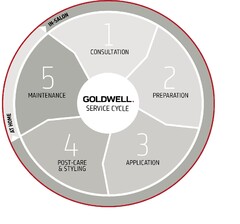 GOLDWELL SERIVCE CYCLE IN SALON CONSULTATION PREPARATION APPLICATION POST-CARE & STYLING AT HOME MAINTENANCE((fig.))