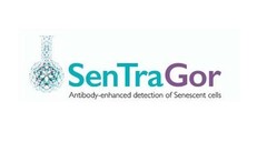 SenTraGor Antibody-enhanced detection of Senescent cells