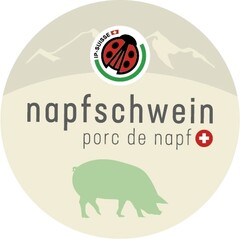 napfschwein porc de napf