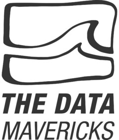 THE DATA MAVERICKS