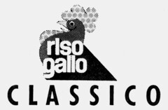 rIso gallo CLASSICO