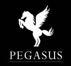 PEGASUS