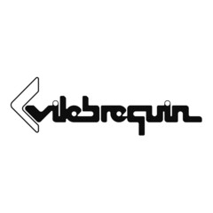 vilebrequin