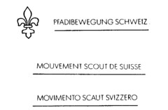 PFADIBEWEGUNG SCHWEIZ MOUVEMENT SCOUT DE SUISSE MOVIMENTO SCAUT SVIZZERO