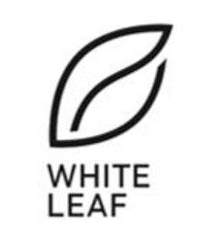 WHITE LEAF