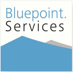 BLUEPOINT. SERVICES
