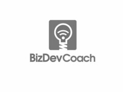 BIZDEVCOACH