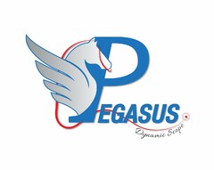 PEGASUS DYNAMIC SCOPE