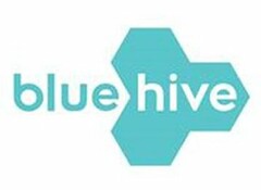 BLUEHIVE