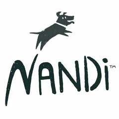 NANDI