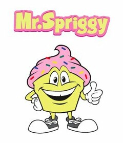 MR.SPRIGGY