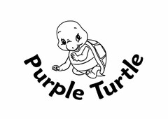 PURPLE TURTLE