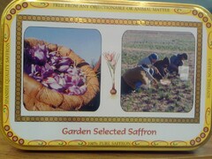 GARDEN SELECTED SAFFRON