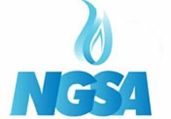 NGSA