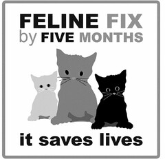 FELINE FIX BY FIVE MONTHS IT SAVES LIVES