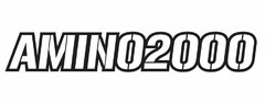 AMINO2000