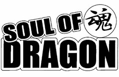 SOUL OF DRAGON