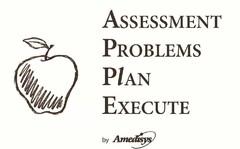 ASSESSMENT PROBLEMS PLAN EXECUTE BY AMEDISYS