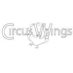 CIRCUS WINGS