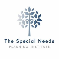 THE SPECIAL NEEDS PLANNING INSTITUTE