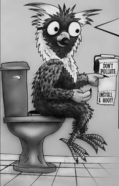 DON'T POLLUTE INSTALL A HOOT!