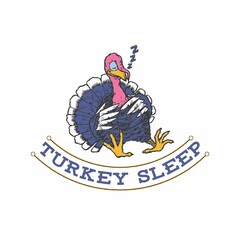 TURKEY SLEEP ZZZ