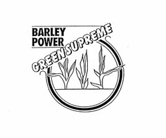 BARLEY POWER GREEN SUPREME