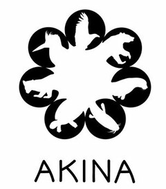 AKINA