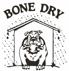 BONE DRY