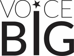 VOICE BIG