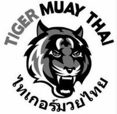 TIGER MUAY THAI