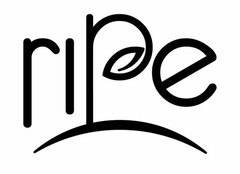 RIPE