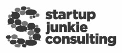 S STARTUP JUNKIE CONSULTING