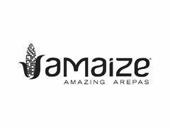 AMAIZE AMAZING AREPAS