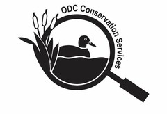 ODC CONSERVATION SERVICES